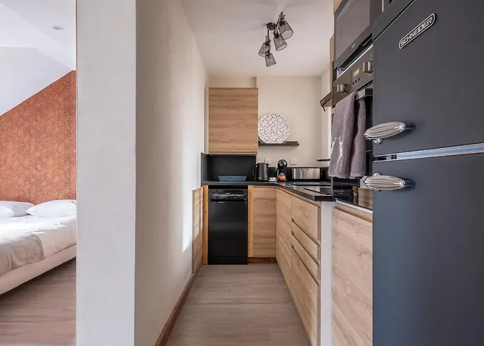 公寓 L'appart 52, Magnifique Duplex En Plein Coeur De Chamonix-mont-blanc 霞慕尼