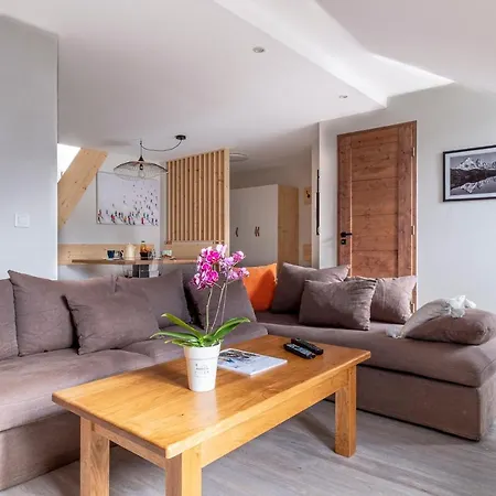 L'appart 52, Magnifique Duplex En Plein Coeur De Chamonix-mont-blanc Apartment Chamonix